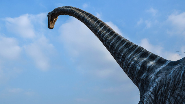Large dinosaur statue long neck free wallpaper for desktop - medium preview image