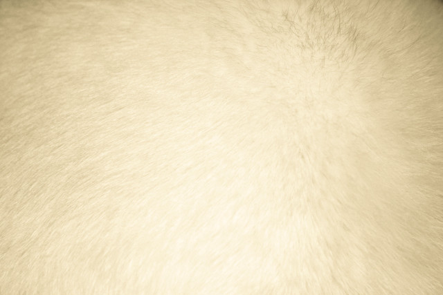 White fur texture black border free wallpaper for desktop - medium preview image