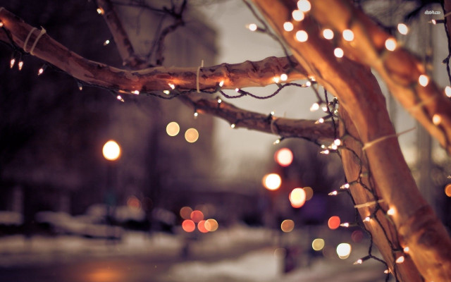 Tree lights snow night streetlight free wallpaper for desktop - medium preview image