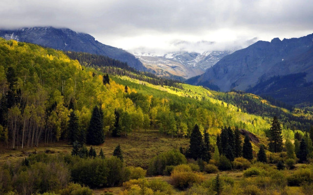 Mountain range forest snowy tops free wallpaper for desktop - medium preview image