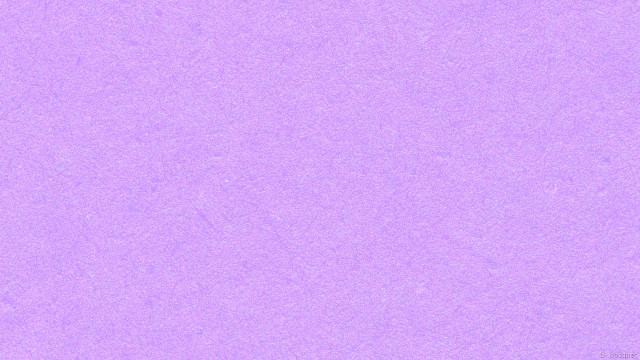 Purple background white bird black free wallpaper for desktop - medium preview image