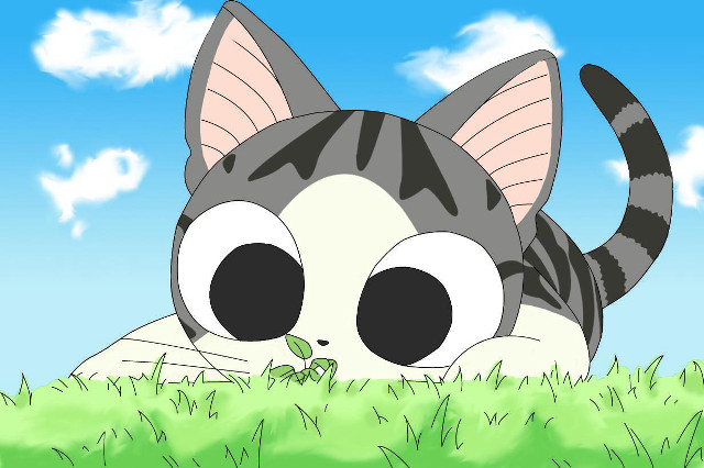Cat laying grass plant mouth free wallpaper for desktop - medium preview image