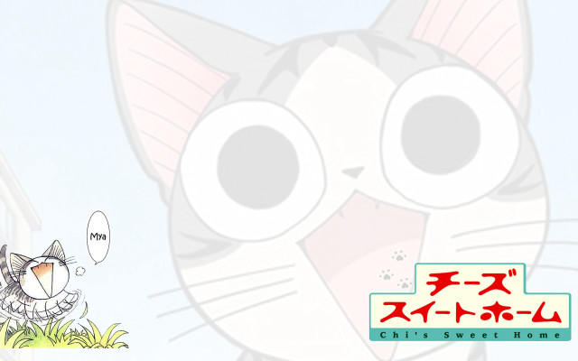Cartoon cat funny caption foreign free wallpaper for desktop - medium preview image