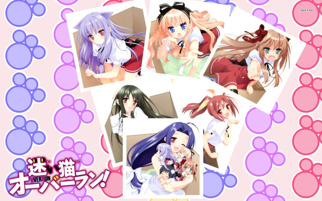 Anime girls multiple haircolors animal free wallpaper for desktop - medium preview image