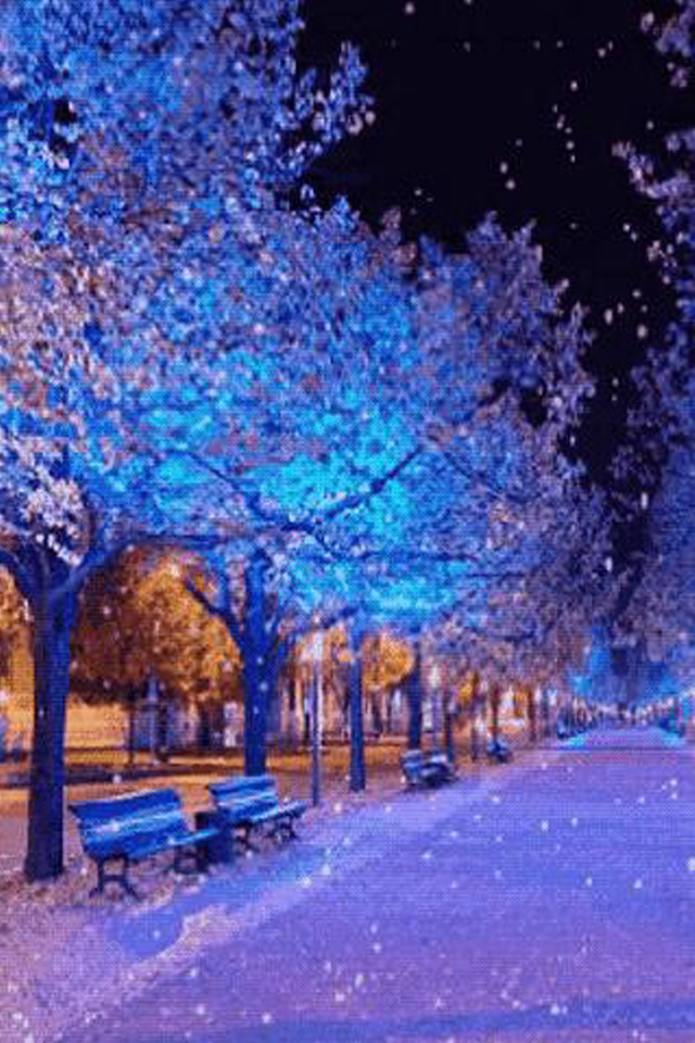 Park bench trees snow night free wallpaper for mobile - medium preview image