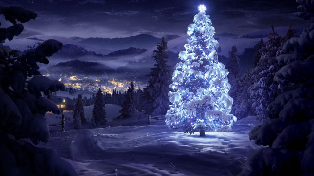 Lit christmas tree snowy night free wallpaper for desktop - medium preview image