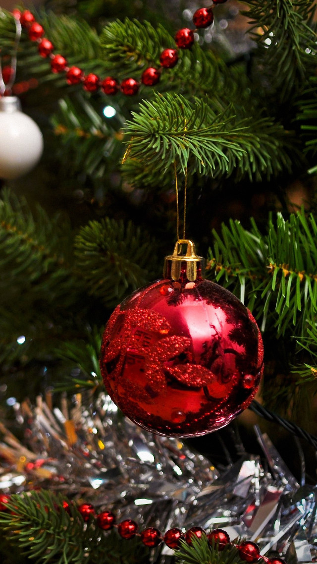 Red ornament christmas tree berries free wallpaper for mobile - medium preview image