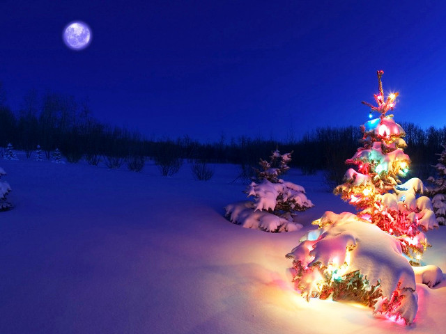 Christmas tree lit snow night #3 free wallpaper for desktop - medium preview image
