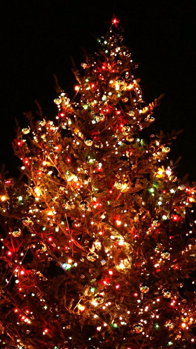 Large christmas tree lights night free wallpaper for mobile - medium preview image