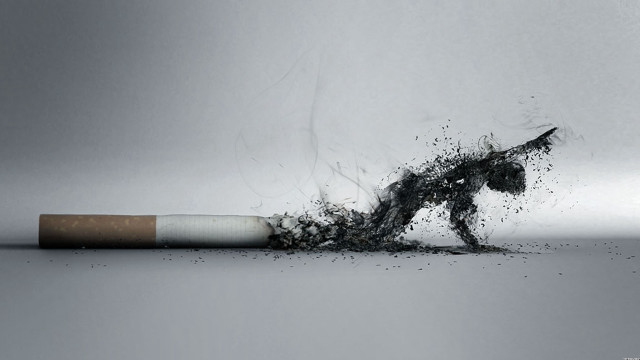 Cigarette horse broken thrown air free wallpaper for desktop - medium preview image