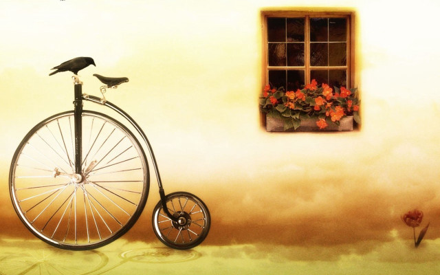 Bird bicycle window flower box free wallpaper for desktop - medium preview image