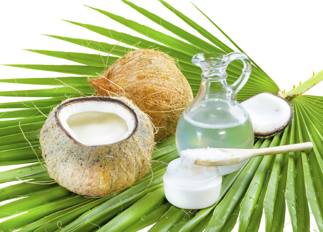 Coconut oil cut coconut palm free wallpaper for desktop - medium preview image