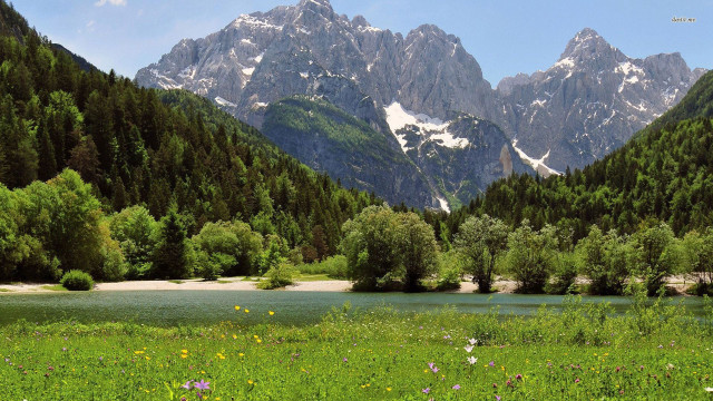 Mountain range river meadow wildflowers free wallpaper for desktop - medium preview image
