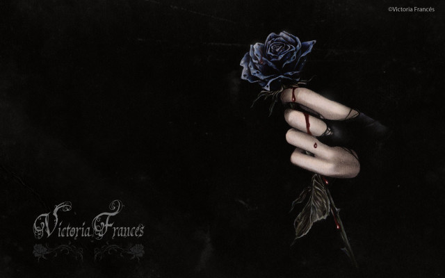 Hand holding rose ring black free wallpaper for desktop - medium preview image