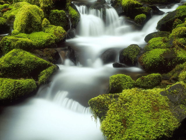 Small waterfall mossy rocks forest #2 free wallpaper for desktop - medium preview image