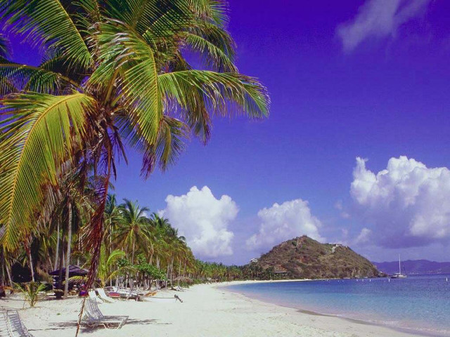 Beach palm tree boat mountain free wallpaper for desktop - medium preview image