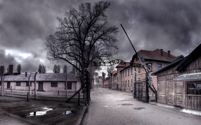 Street tree building sign old free wallpaper for desktop - medium preview image