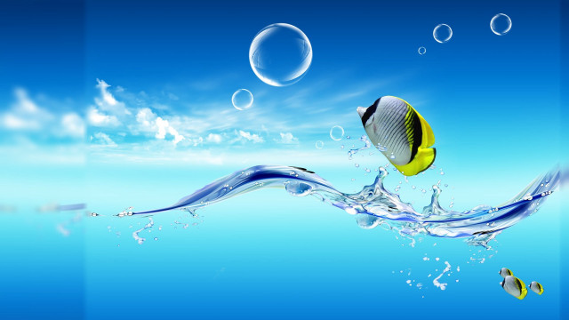 Fish swimming ocean bubbles underwater free wallpaper for desktop - medium preview image