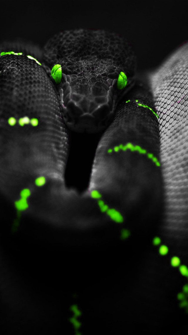 Green snake curled neon holography free wallpaper for mobile - medium preview image