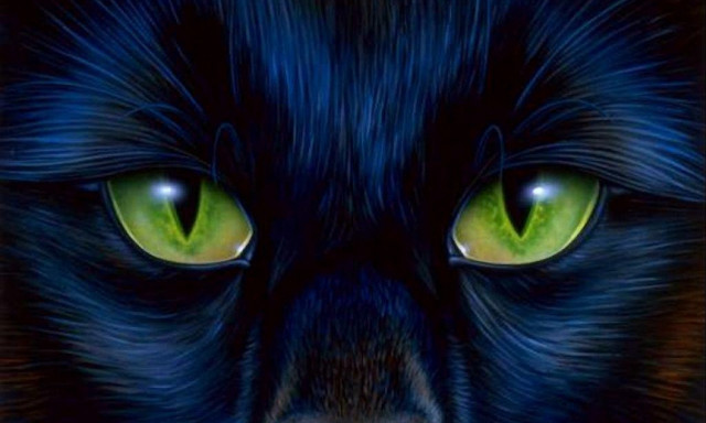 Black cat green eyes glowing free wallpaper for desktop - medium preview image