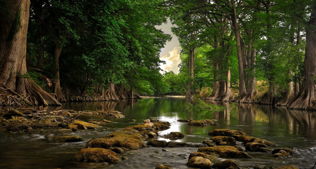 River rocks trees water cloudy #3 free wallpaper for desktop - medium preview image