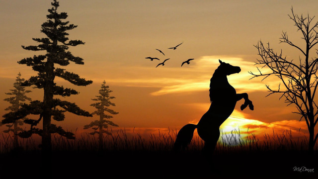 Horse jumping sunset birds flying free wallpaper for desktop - medium preview image