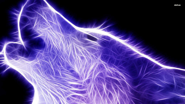 Purple wolf skyfireworks night energy free wallpaper for desktop - medium preview image