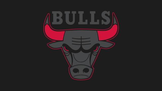 Bulls logo bulls head design #2 free wallpaper for desktop - medium preview image