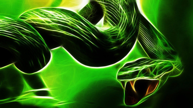 Green snake mouth open tongue #6 free wallpaper for desktop - medium preview image