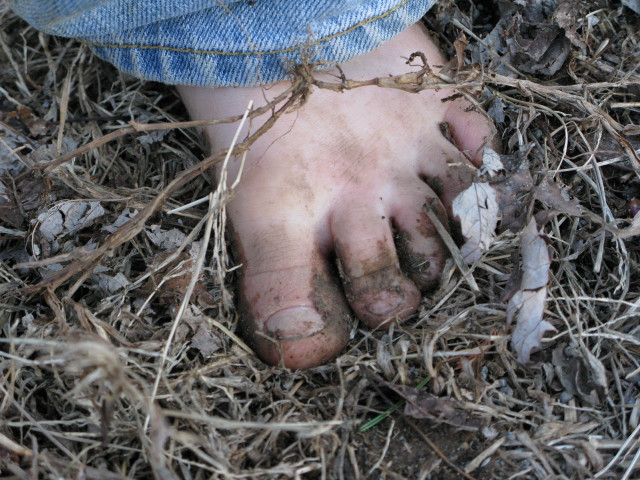 Dirty hands dirt grass dead free wallpaper for desktop - medium preview image