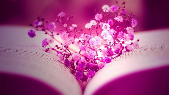 Book flowers cherryblossoms girl branch free wallpaper for desktop - medium preview image