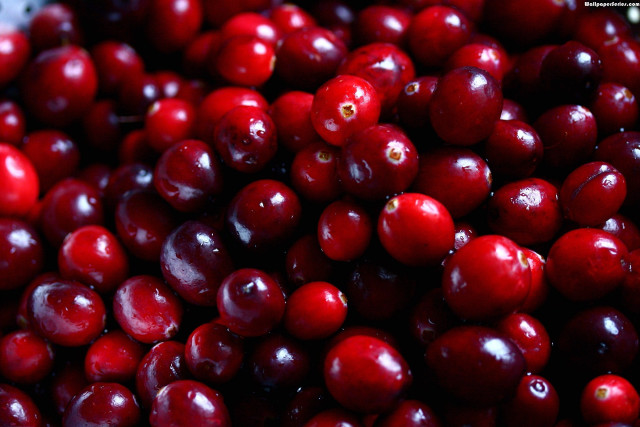 Cherries pile bowl table white free wallpaper for desktop - medium preview image