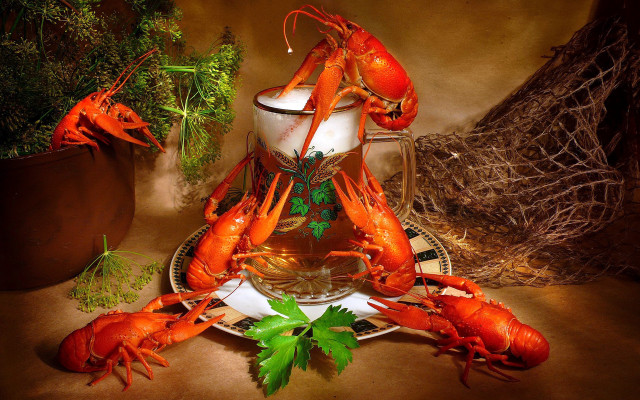 Pitcher lobsters parsley surreal stilllife free wallpaper for desktop - medium preview image