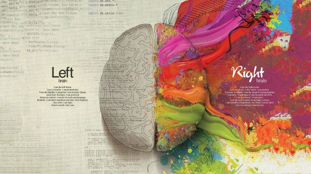 Colorful left right brain newspaper #2 free wallpaper for desktop - medium preview image