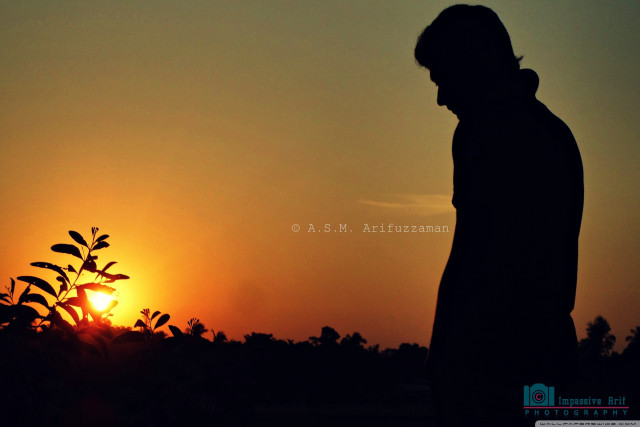 Man sunset silhouette tree standing free wallpaper for desktop - medium preview image