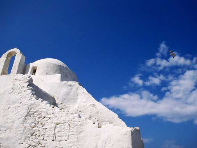 Bird flying white building blue free wallpaper for desktop - medium preview image