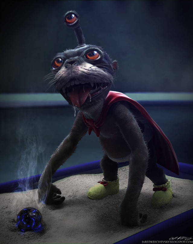 Cat cape ball sand ocean free wallpaper for mobile - medium preview image