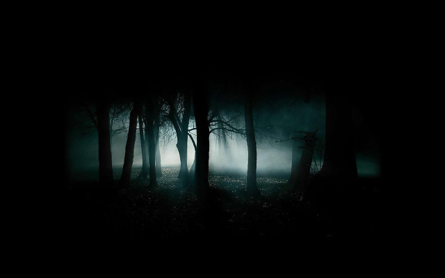 Dark forest fog trees nighttime free wallpaper for desktop - medium preview image