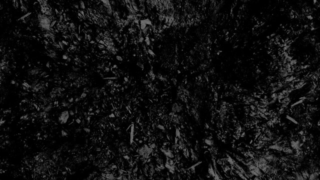 Dirt field leaves grass black #2 free wallpaper for desktop - medium preview image
