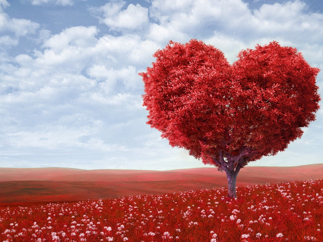 Heart shaped tree field flowers free wallpaper for desktop - medium preview image