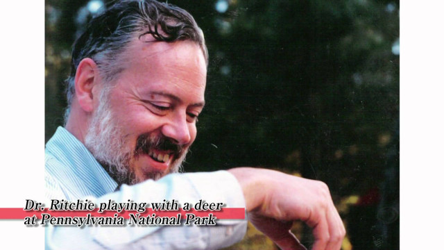 Man beard playing cellphone smiling free wallpaper for desktop - medium preview image