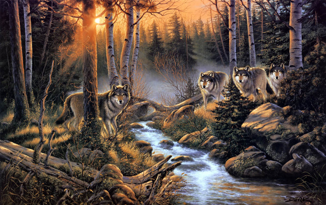Wolves forest stream sunset sunlight free wallpaper for desktop - medium preview image