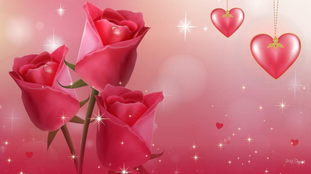 Pink background three roses hearts free wallpaper for desktop - medium preview image