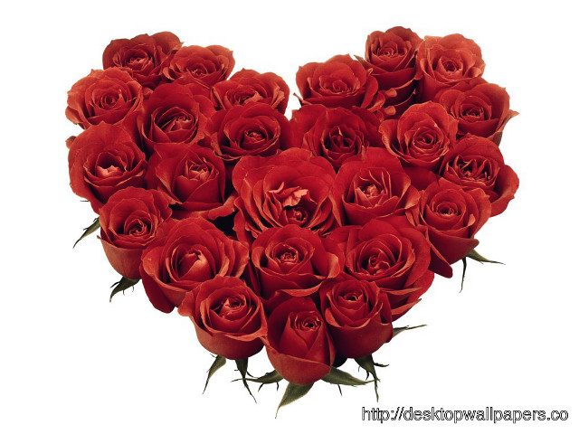 Heart shaped red roses white #4 free wallpaper for desktop - medium preview image