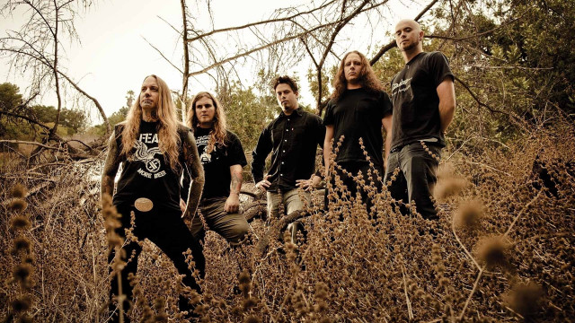 People guitar field tall grass free wallpaper for desktop - medium preview image