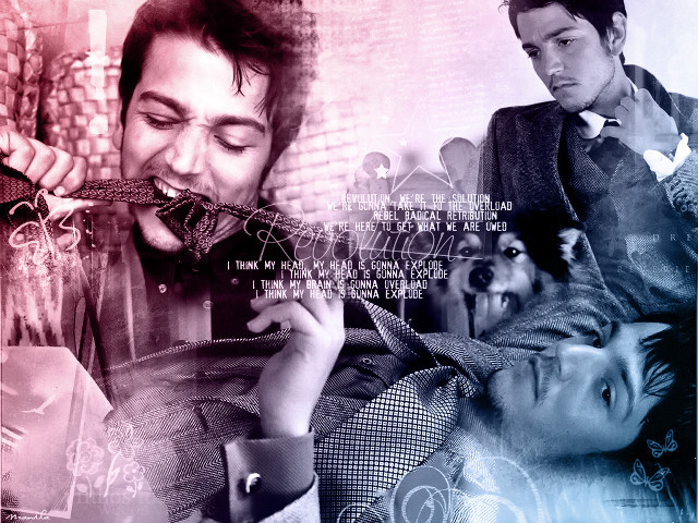 Man woman cellphone dog collage free wallpaper for desktop - medium preview image