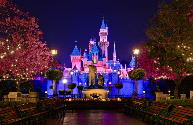 Castle night statue trees lights free wallpaper for desktop - medium preview image