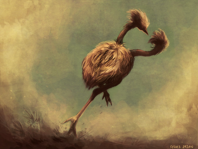 Long necked bird standing outdoors free wallpaper for desktop - medium preview image