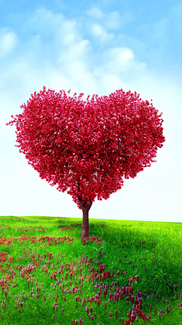 Heart tree flower field sunny free wallpaper for mobile - medium preview image