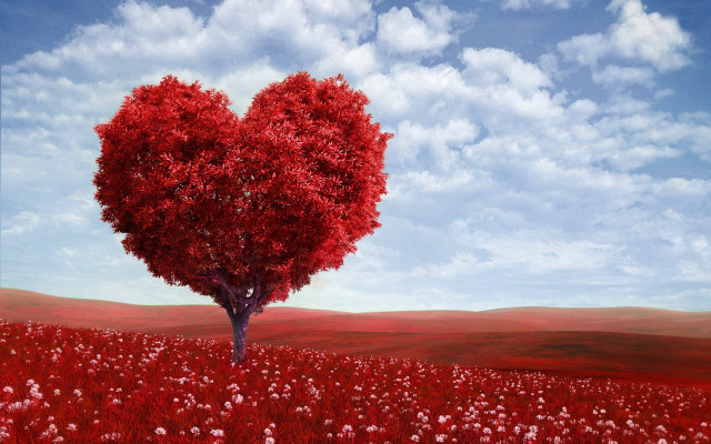 Heart shaped tree field flowers #2 free wallpaper for desktop - medium preview image